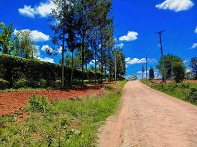 Land