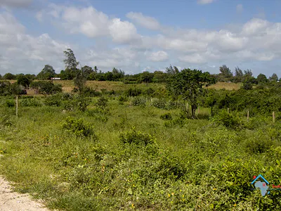 Land