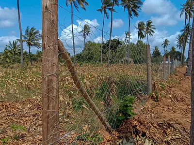 Land