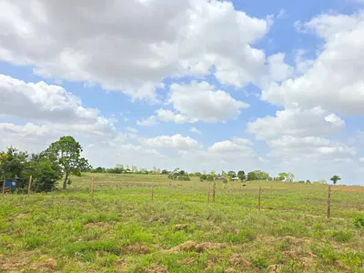 Land