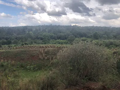 One Acre