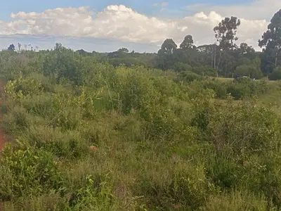 Land