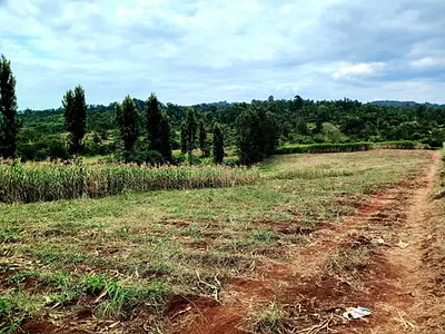 A Bungalow, a Servant Quarter, A Clean Borehole and a Permanent River