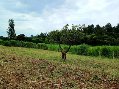 Kenol-Maragua Highway.