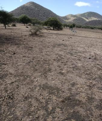 Prime Land, 100 Acres., Makueni, Makindu, Makueni, Mixed-use Land for Sale