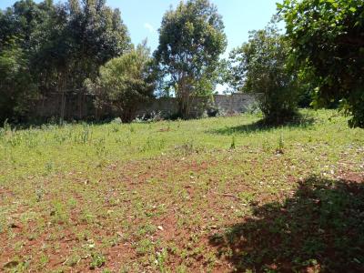 50x100 Feet Plot., Ondiri, Kikuyu, Kiambu, Land for Sale