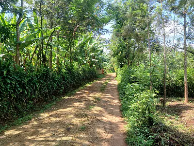 Maragua Town.