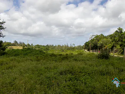 Land