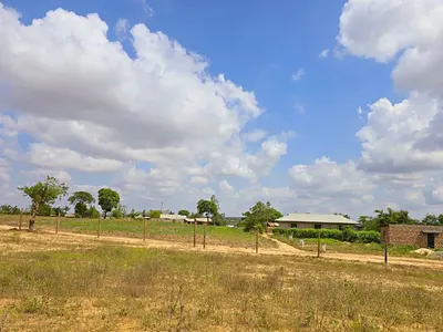 Land