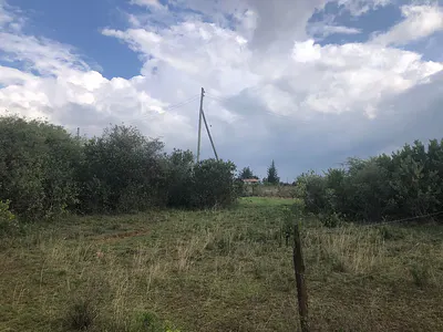 Land