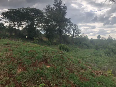 Land