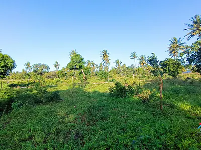 Roka Gardens