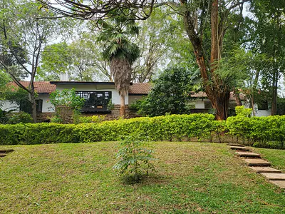 5000 Sq FT Commercial House on 1 Acre Plot