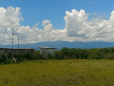Land