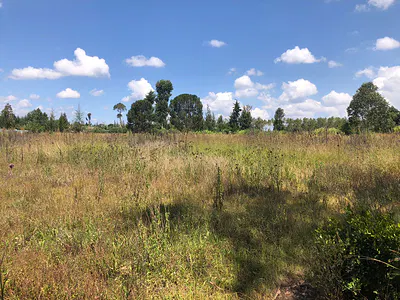 Land