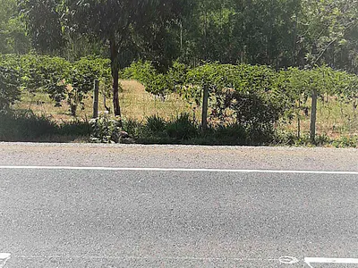 Commercial Land Touching the Thika Dual Carriage — Thika Super Highway, Makuyu, Muranga
