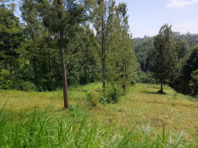 Plots of Commercial Land — Makuyu, Muranga