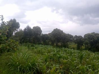 1/2 an Acre, Naivasha East, Nakuru, Mixed-use Land for Sale