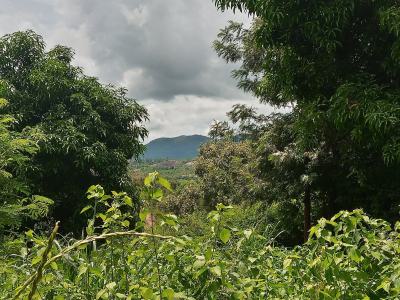 Land, Near Kakuzi, 10 Minutes From Kaguku, Ithanga, Muranga, Mixed-use Land for Sale
