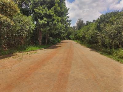 1-acre Plot for Development, Tree Lane, Karen, Nairobi, Residential Land for Sale