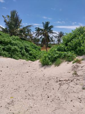 8 Acres Beach Property  Located in Kilifi Chumani 18m, Kilifi Chumani, Ukunda, Kwale, Mixed-use Land for Sale