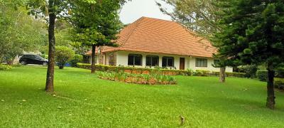 4 Bedroom House with 3dsq Office Garage on 1.2acres in Oldmuthaiga., Old Muthaiga, Muthaiga, Nairobi, House for Sale