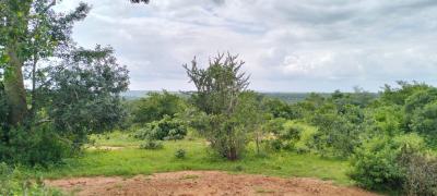 Farmland in Malindi Bore Singwaya, Bore Singwaya, Malindi Town, Kilifi, Mixed-use Land for Sale