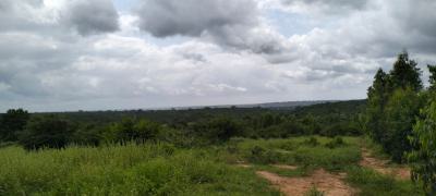 20 Acres in Singwaya, Bore Singwaya, Malindi Town, Kilifi, Commercial Land for Sale