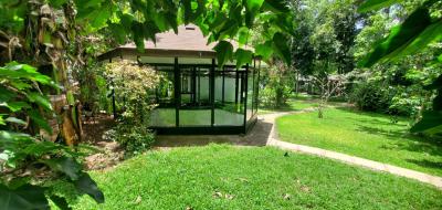Gazebo Style Office Spaces, Ngong Road, Karen, Nairobi, Office Space for Rent