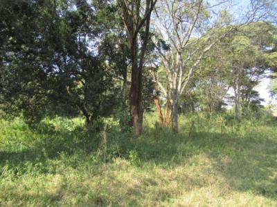 9 Acres of Land for Development, Karen Hardy, Karen, Nairobi, Land for Sale
