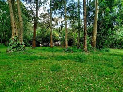 Prime 1 Acre with Ready Title Deed, Mwitu Road, Karen, Nairobi, Land for Sale