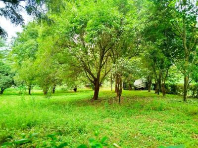 Prime 2 Acres Touching Tarmac, Karen End, Karen, Nairobi, Land for Sale
