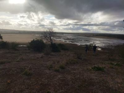 55 Acres Riverfront, Marikano, Malindi Town, Kilifi, Land for Sale