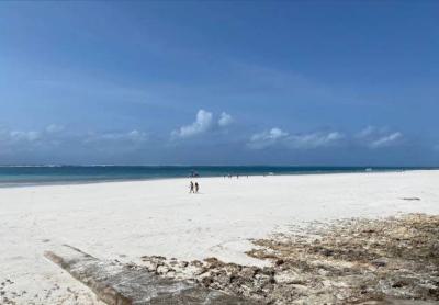 Prime Quarter Acre Beach Plots, Diani Beach Road, Diani Beach, Ukunda, Kwale, Mixed-use Land for Sale