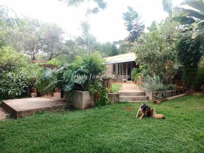 3 Bedroom Cottage, Hardy Area, Karen, Nairobi, Detached Bungalow for Rent