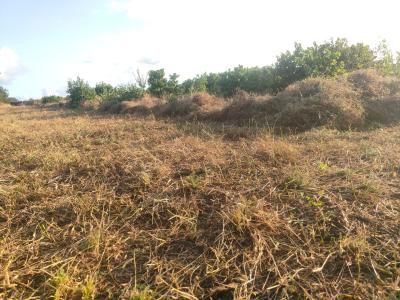 Affordable Farm Land in Malindi, Malindi, Marereni, Adu, Kilifi, Mixed-use Land for Sale