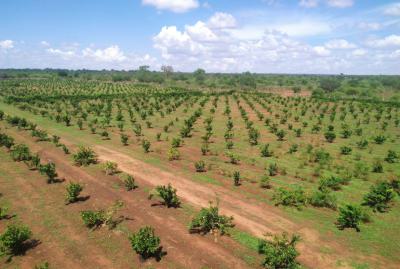 Premium 15--19 Acre Farms --- Mata, Taveta, Just 8 Km From Taveta Town and Only 7 Km From Scenic Lake Jipe., Mata, Taita Taveta, Land for Sale