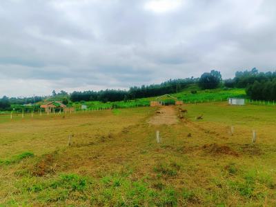 Secure Your Future with Our Affordable Plots!, Ndiguini, Kamangu, Kikuyu, Kiambu, Residential Land for Sale