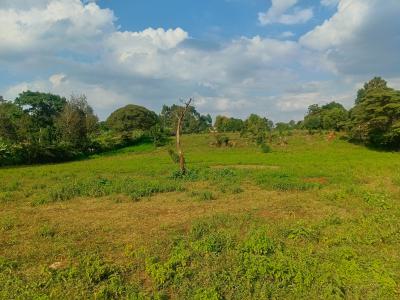 Ready to Build Residential Plots!, Thogoto Teachers College Neighborhood, Kikuyu, Kiambu, Residential Land for Sale