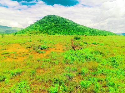 Secure Your Financial Future with Our Affordable Plots!, Ndiuni, Thigio, Kikuyu, Kiambu, Residential Land for Sale