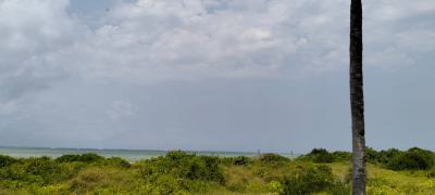 Exclusive 8.4-acre Beachfront Land in Watamu, Jacaranda, Watamu, Kilifi, Mixed-use Land for Sale