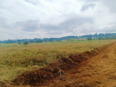 Affordable Plots Available Now!, Hillsview Estate (phase 5), Kamangu, Kikuyu, Kiambu, Residential Land for Sale