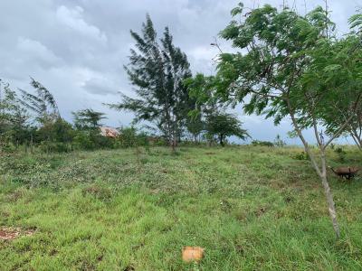 Prime 1-acre Land in Kaliapapo, Kakuyuni, Malindi -- Kes 2.1m, Kakuyuni, Malindi Town, Kilifi, Land for Sale