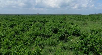 Cool Breeze Malindi, Bagamoyo Highway, Malindi Town, Kilifi, Residential Land for Sale