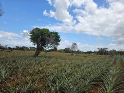 4 Acres -- 4 Investors, Magharini Dakacha, Malindi Town, Kilifi, Mixed-use Land for Sale