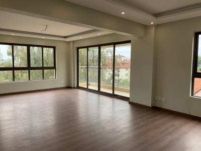 Luxurious 3 Bedroom Plus Dsq Apartment in Kilimani, Kilimani, Kilimani, Nairobi, Apartment for Sale