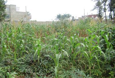 Prime Development Opportunity: 3/4 Acre Land in Thindigua, Kiambu, Kiambu Road, Thindigua, Thindigua, Nairobi, Land for Sale