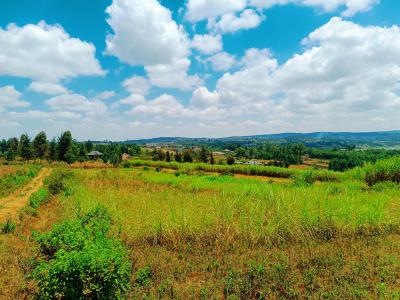 Prime 1/8th --acre Plots Available on Offer in Kikuyu!, Jambu Tv, Gikambura, Kikuyu, Kiambu, Residential Land for Sale