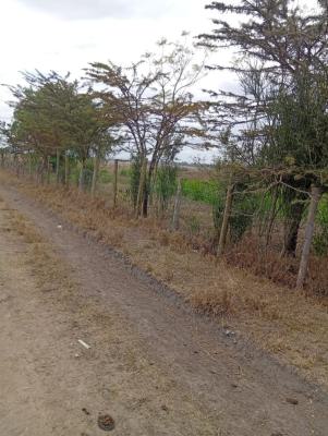 1/4 Acre, Kisaju, Kitengela, Kajiado, Land for Sale