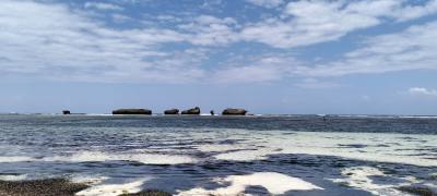 Prime ⅛-acre Beachfront Plot in Watamu -- Kes 5m Each  Freehold, Kanani Primary School, Watamu, Kilifi, Land for Sale